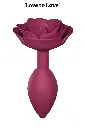 18978_800_plug_open_roses_m-love_to_love.webp