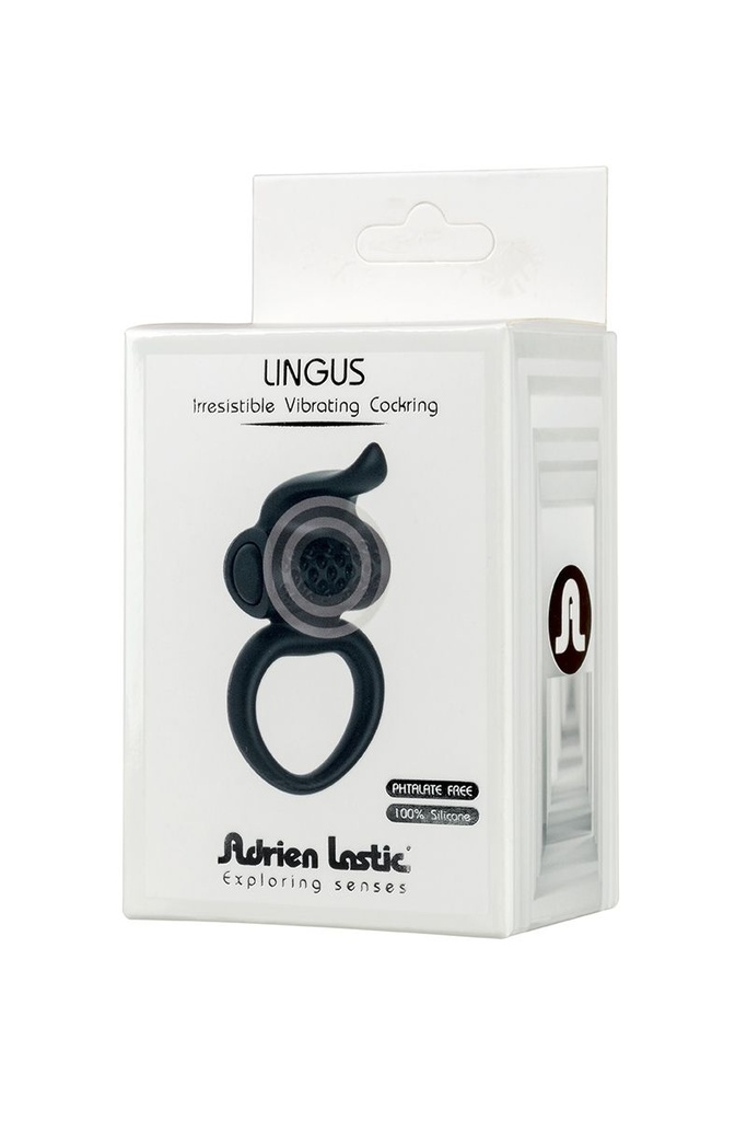 Anneau Vibrant Lingus - Lingus - Adrien Lastic